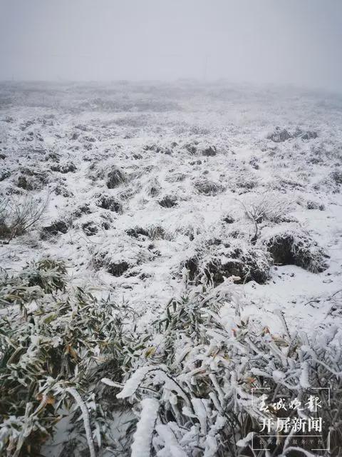 云南今年下雪新闻，雪落高原，美景如画