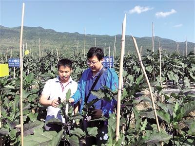 酉阳土家族苗族自治县科技局最新项目进展报告