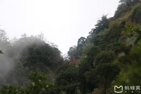 虞山林场最新天气预报